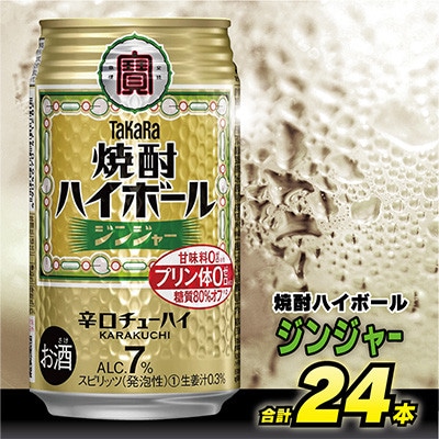 【毎月定期便】タカラ「焼酎ハイボール」<ジンジャー>　350ml　24本入　SAJ354　全6回