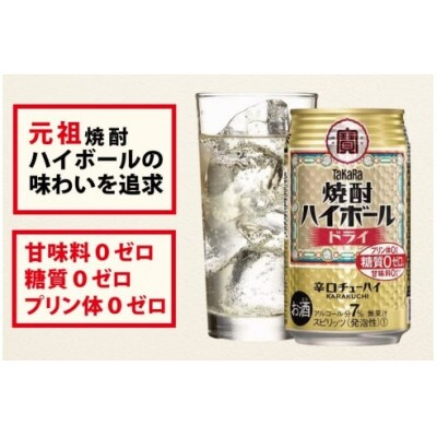 【毎月定期便】タカラ「焼酎ハイボール」<強烈塩レモンサイダー割り>500ml24本SAJ393全6回