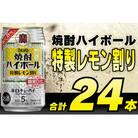 【毎月定期便】タカラ「焼酎ハイボール」5%<特製レモン割り>350ml24本入　SAJ376全12回