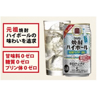 【毎月定期便】「焼酎ハイボール」5%<特製サイダー割り>500ml24本入　SAJ427　全12回