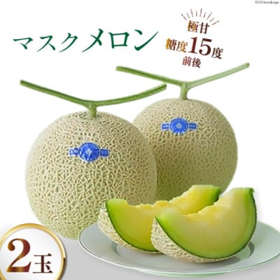 【堀農園】マスクメロン 約1.3kg以上×2玉