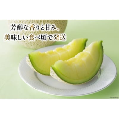 【堀農園】マスクメロン 約1.3kg以上×2玉