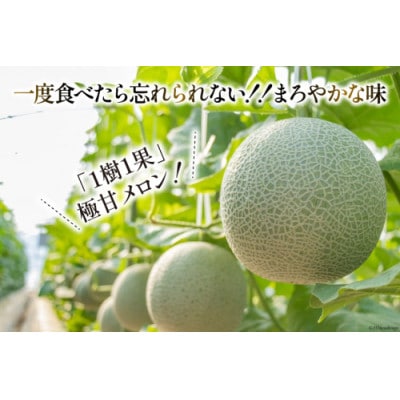 【堀農園】マスクメロン　約1.5kg以上×1玉