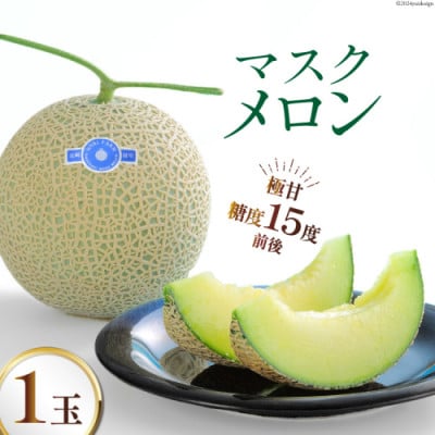 【令和8年7-8月発送分】堀農園 マスクメロン 1玉