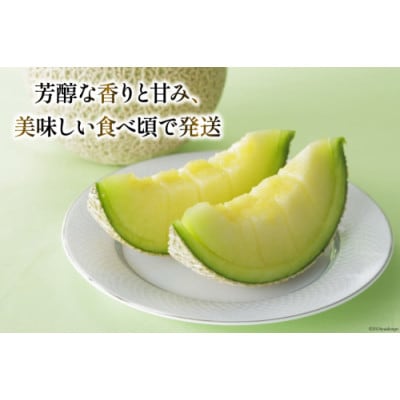 【令和8年7-8月発送分】堀農園 マスクメロン 2玉