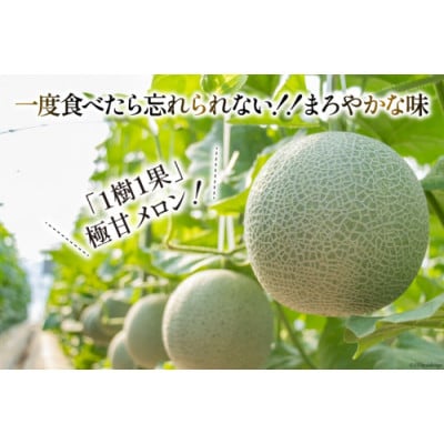 【令和8年7-8月発送分】堀農園 マスクメロン 2玉
