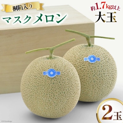 【令和8年7-8月発送分】堀農園 マスクメロン 2玉 特選 大玉 桐箱