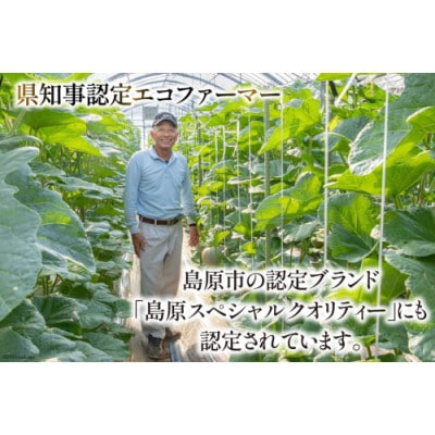 【令和8年7-8月発送分】堀農園 マスクメロン 2玉 特選 大玉 桐箱