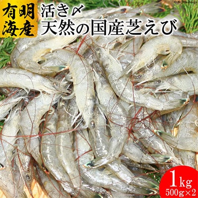 【有明海産】　活き〆　天然小エビ1kg　(500g×2)