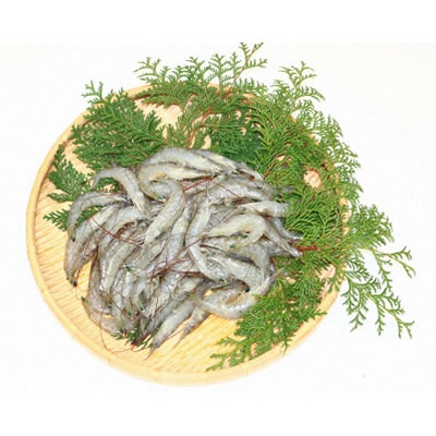 【有明海産】　活き〆　天然小エビ1kg　(500g×2)