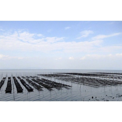 有明海産 島原のり 42束 味・焼セット