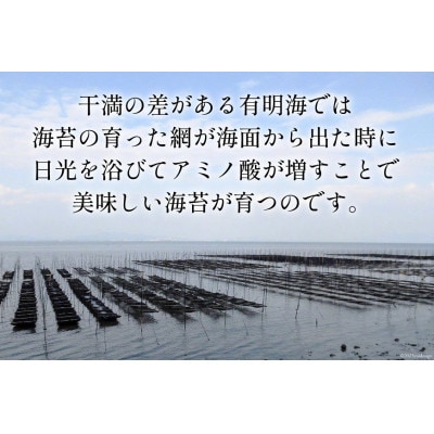 有明産 卓上海苔セット(潮結)味付のり 潮の舞