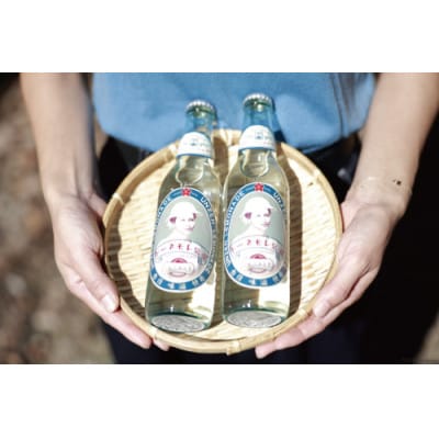 島原湧水99%使用!温泉(うんぜん)レモネード 330ml×24本 炭酸 AI173