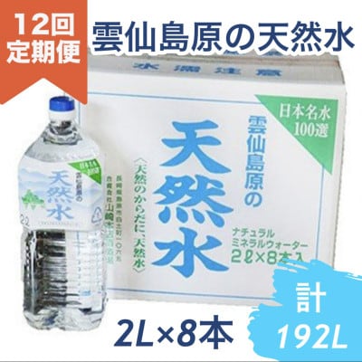 【毎月定期便】山崎本店酒造場 雲仙島原の天然水 2L 8本全12回