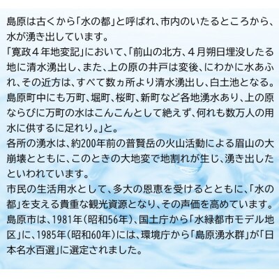 【毎月定期便】山崎本店酒造場 雲仙島原の天然水 2L 8本全12回