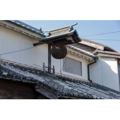 【毎月定期便】山崎本店酒造場 雲仙島原の天然水 2L 8本全12回