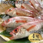 脂のり抜群!「のどぐろ」大サイズ(200～250g)4尾＜煮付け・塩焼き用＞
