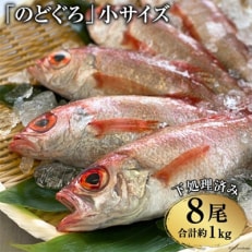 脂のり抜群!「のどぐろ」小サイズ(120～140g)8尾＜煮付け・塩焼き用＞ | ふるさと納税のお礼品