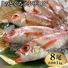 脂のり抜群!「のどぐろ」小サイズ(120～140g)8尾＜煮付け・塩焼き用＞