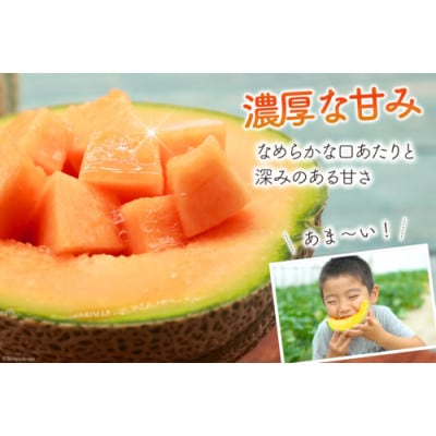 【先行受付】【令和7年6月より順次発送】島原赤肉メロン「マルセイユ」(2L×5玉)