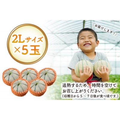 【先行受付】【令和7年6月より順次発送】島原赤肉メロン「マルセイユ」(2L×5玉)