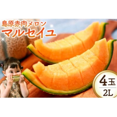 【先行受付】【令和7年6月より順次発送】島原赤肉メロン「マルセイユ」(2L×4玉)