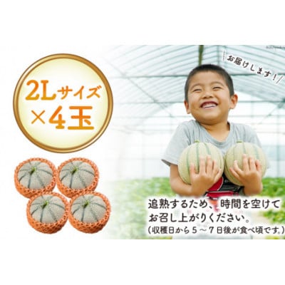 【先行受付】【令和7年6月より順次発送】島原赤肉メロン「マルセイユ」(2L×4玉)