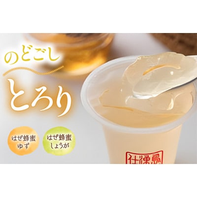 【のし付き】暑い季節はシャーベットで 島原湧水ジュレセット
