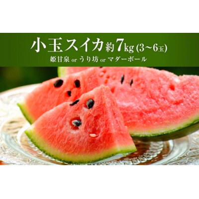 夏の定番　小玉すいか　約7kg(3～6玉)