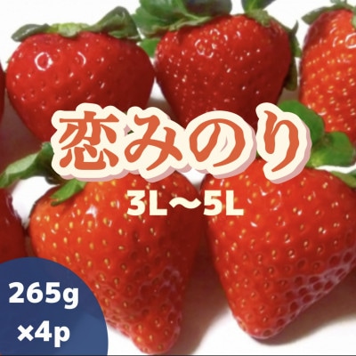 【2026年2月〜4月発送】厳選いちご「恋みのり(3L～5L)」265g×4パック