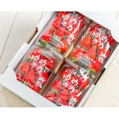 【2025年1月より順次発送】【数量限定】厳選いちご「ゆめのか(2～3L)」260g×4パック