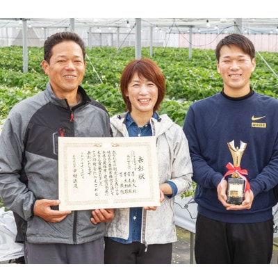 【2025年1月より順次発送】【数量限定】厳選いちご「ゆめのか(2～3L)」260g×4パック