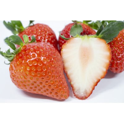 【2026年2月～4月発送】厳選いちご「恋みのり(2L～3L)」260g×4パック