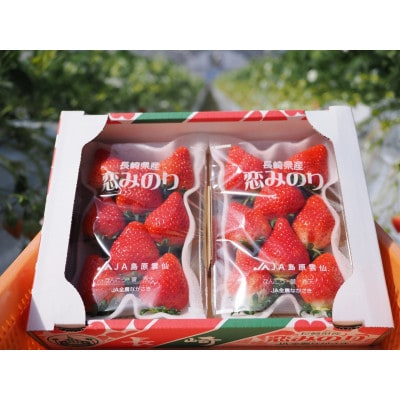 【2026年2月～4月発送】厳選いちご「恋みのり(2L～3L)」260g×4パック