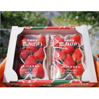 【2025年12月より順次発送】厳選いちご「恋みのり(2L～3L)」260g×4パック