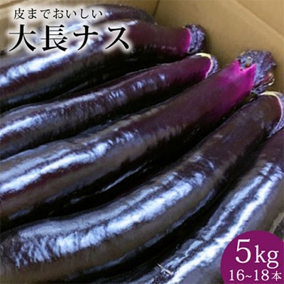 令和7年度出荷分【長崎・島原】皮まで美味しい大長ナス 5kg