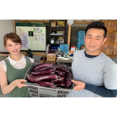 令和7年度出荷分【長崎・島原】皮まで美味しい大長ナス 5kg