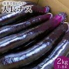 令和7年度出荷分【長崎・島原】皮まで美味しい大長ナス 2kg