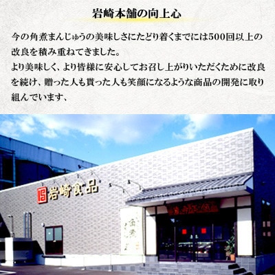 【毎月定期便】【岩崎本舗】大とろ角煮まんじゅう6個 箱入り(島原市) AJ047全12回
