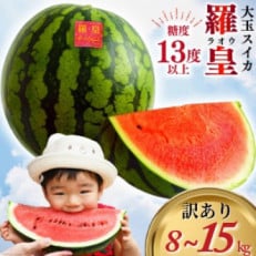 【2025年6月より順次発送】訳あり 大玉スイカ~羅皇(ラオウ)~