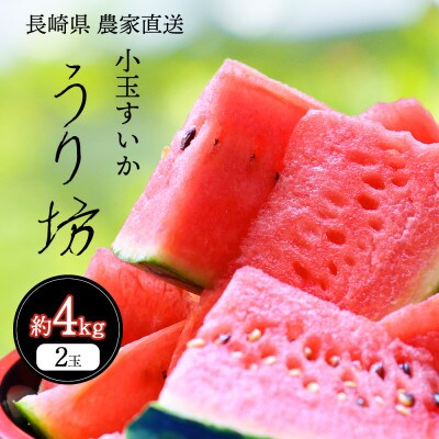 前田ファームのハウスうり坊 2玉 約4kg 【ハウス栽培限定】