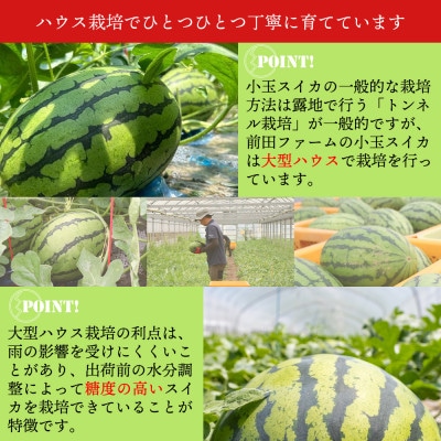 前田ファームのハウスうり坊 2玉 約4kg 【ハウス栽培限定】