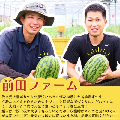 前田ファームのハウスうり坊 約8kg 【ハウス栽培限定】