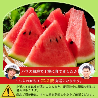 前田ファームのハウスうり坊 約8kg 【ハウス栽培限定】