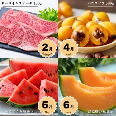 【発送月固定定期便】夏のフルーツと長崎和牛のバラエティ定期便 長崎特産のビワ など全8回