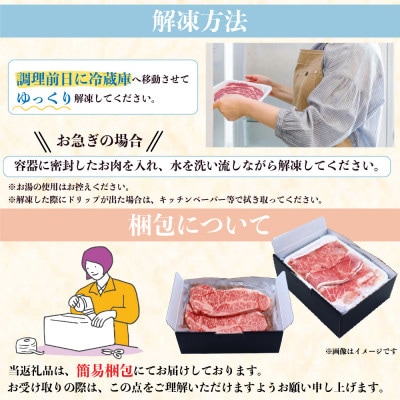 【発送月固定定期便】夏のフルーツと長崎和牛のバラエティ定期便 長崎特産のビワ など全8回