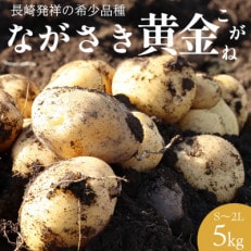 【長崎発祥の品種】 ながさき黄金 じゃがいも 約5kg S～2L サイズ混合