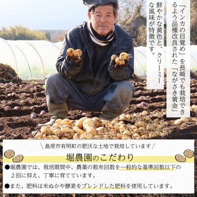 【長崎発祥の品種】 ながさき黄金 じゃがいも 約10kg S～2L サイズ混合