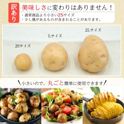 【訳あり 数量限定】 ながさき黄金 じゃがいも 約5kg 2S～3L サイズ混合 傷もの等を含む
