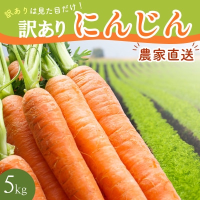 【訳あり】 堀農園のこだわり人参 約5kg
